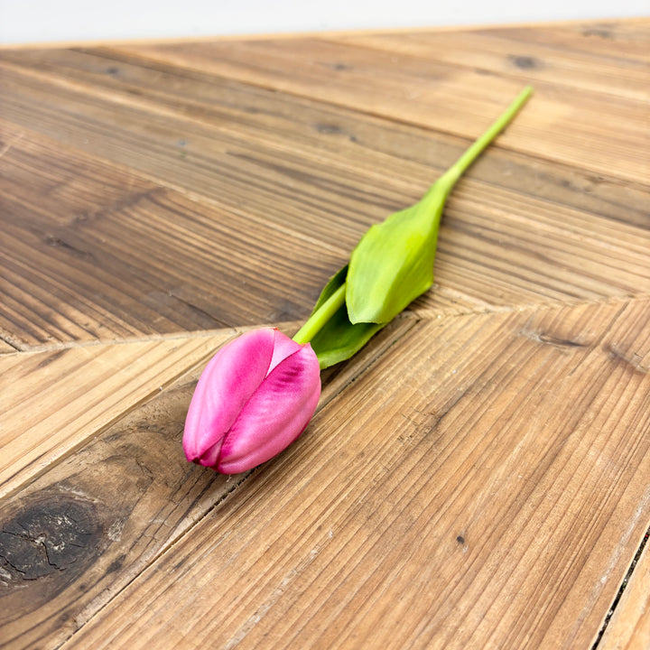 Tulip Stem - 3 Colors