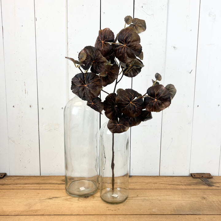 Ginkgo Leaf Stems