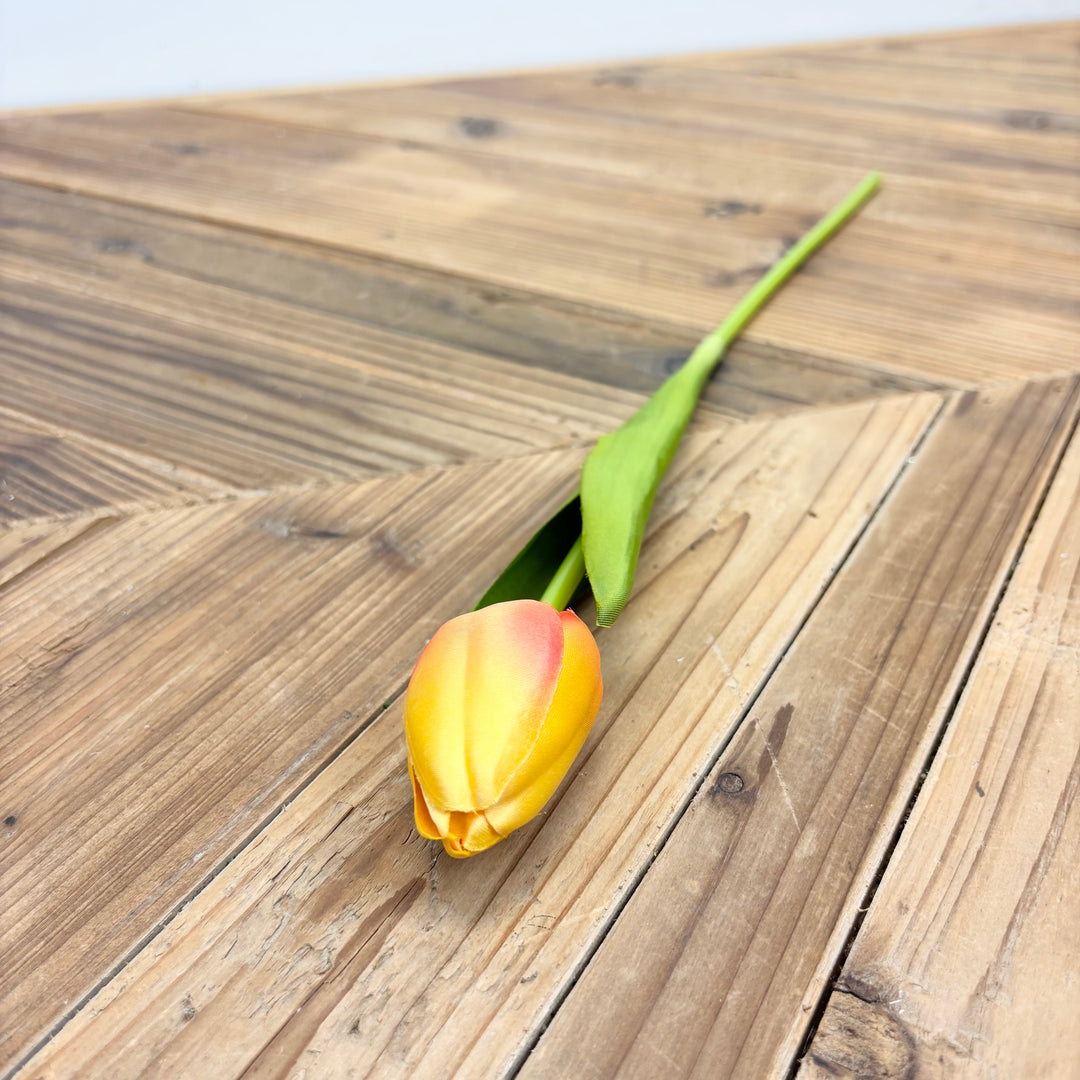 Tulip Stem - 3 Colors