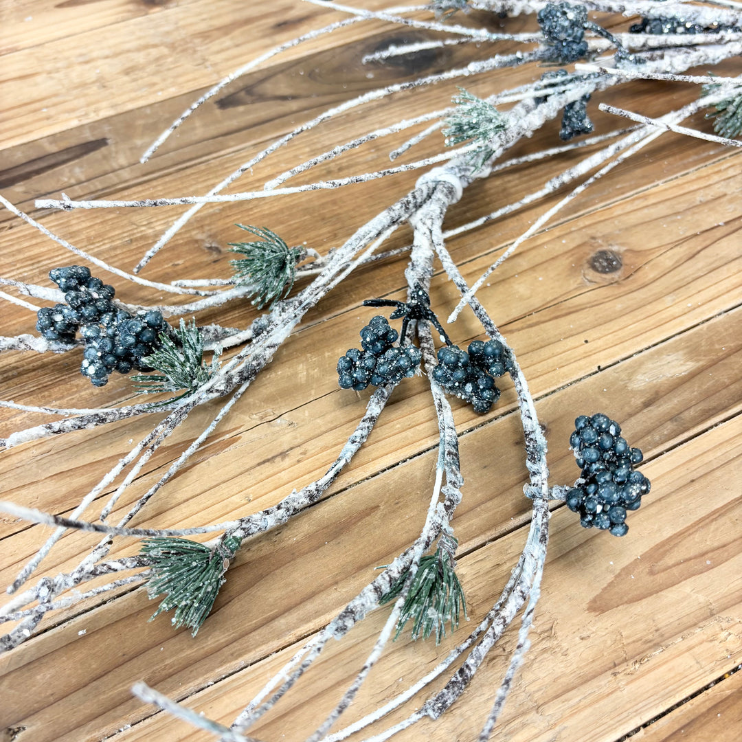 Birch & Pine Collection