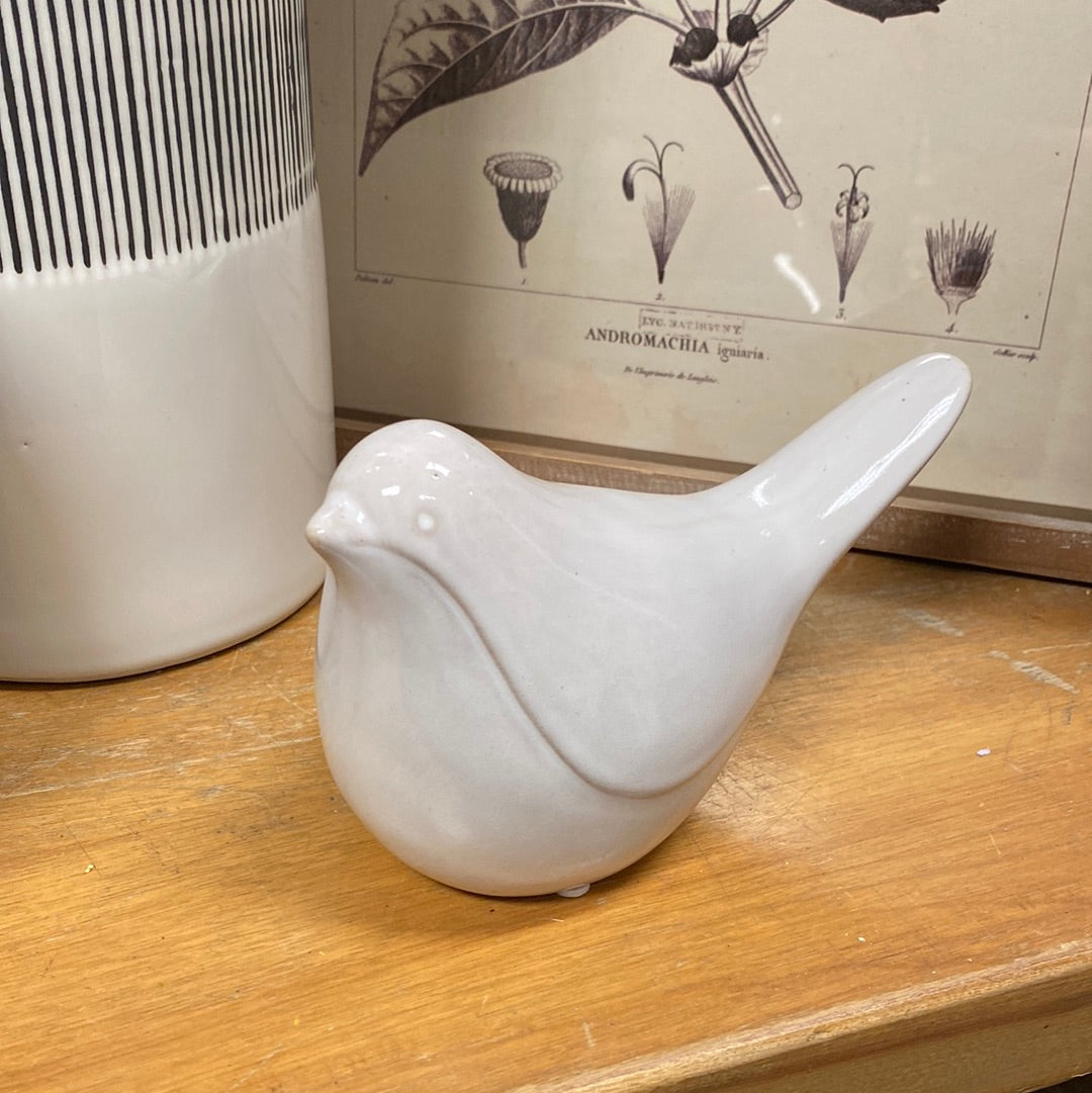 Small Modern Bird