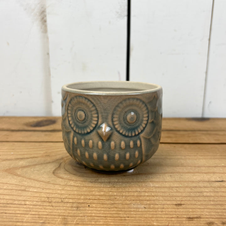 Owl Pots