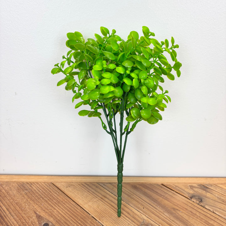 Mini Eucalyptus Leaf Bush