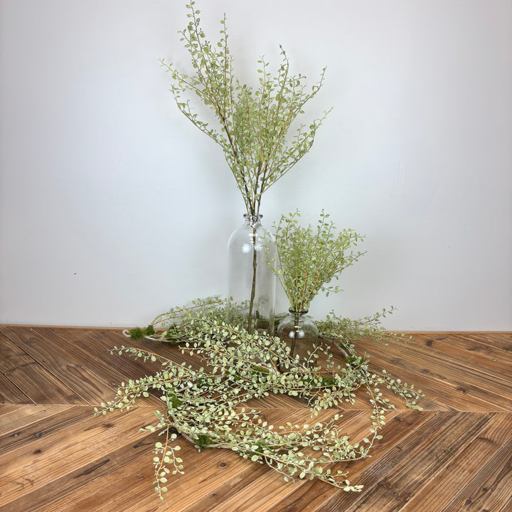 Button Leaf Collection