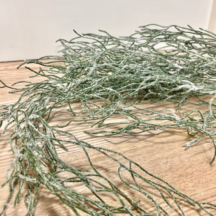 Iced Vine