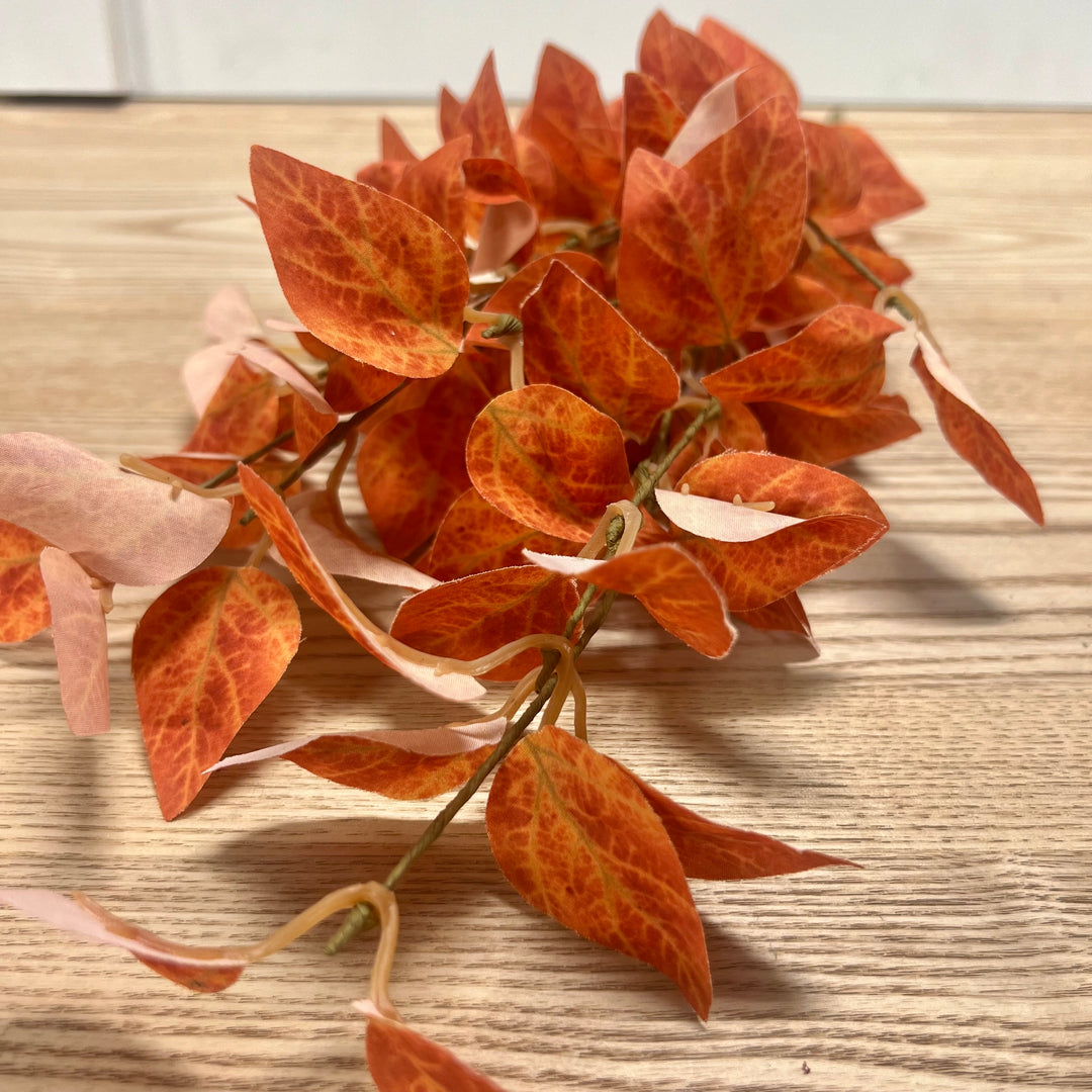 Fall Eucalyptus Stems