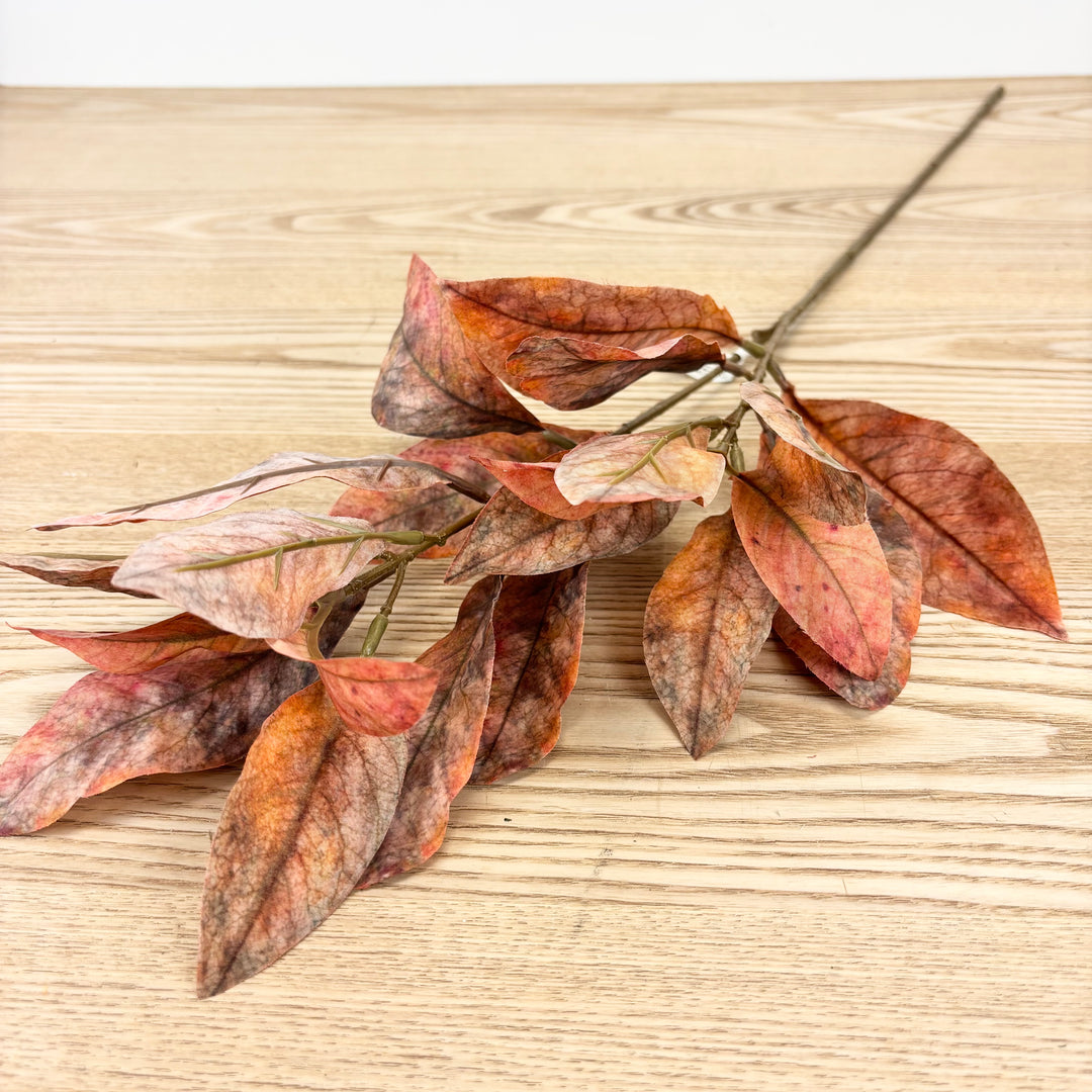 Dusty Orange Croton Spray