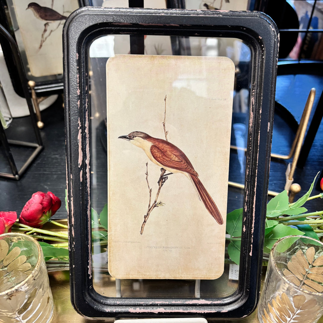 Distressed Wood Framed Bird Wall Decor- 6 Styles