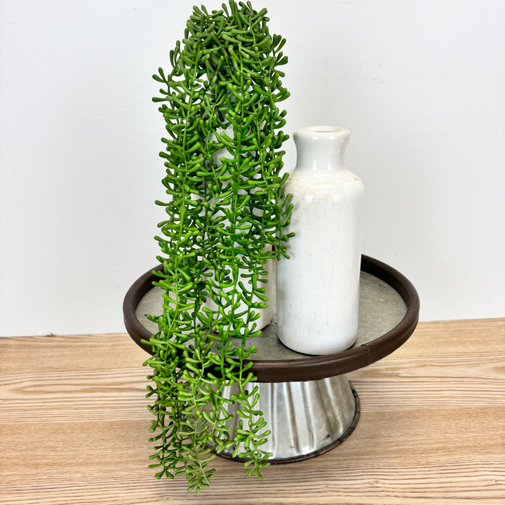 Baby Tears Hanging Succulent