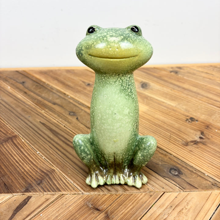 Terracotta Frog