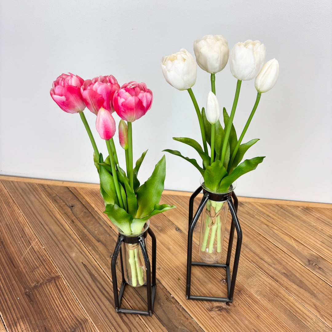 Tulip Bundle - 2 Colors