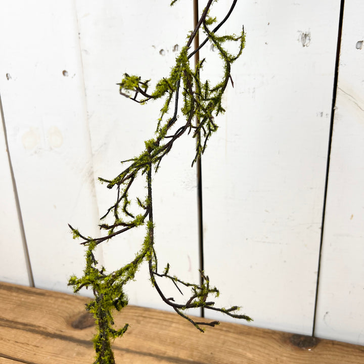 Mossy Twig Wreath & Long Stem