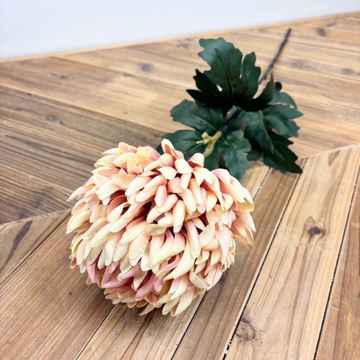 Chrysanthemum Long Stem - Pink