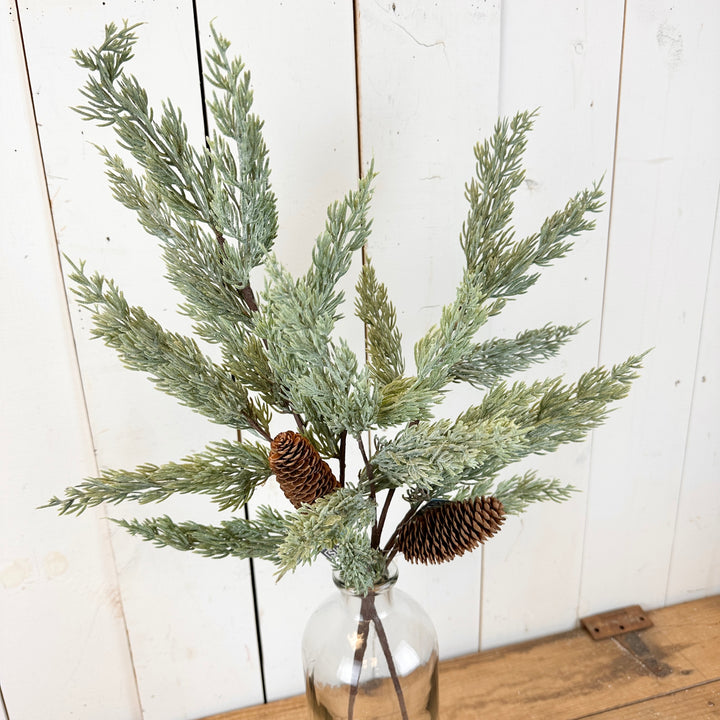 Long Pine Spray