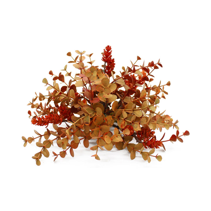 Orange Eucalyptus And Hops Collection