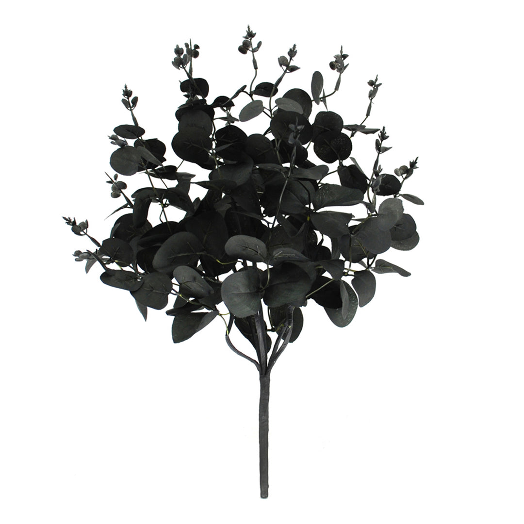 Black Eucalyptus Pick