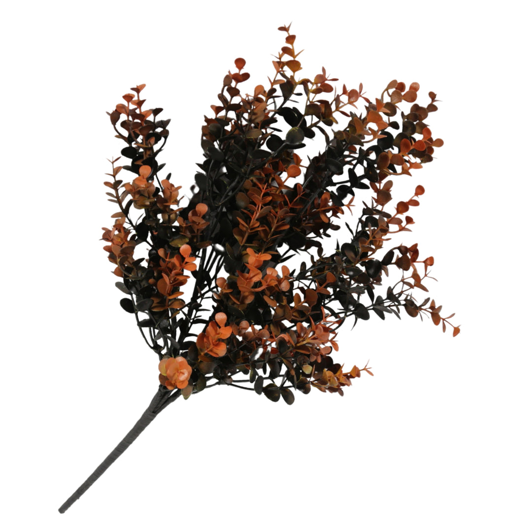 Black And Orange Eucalyptus Pick