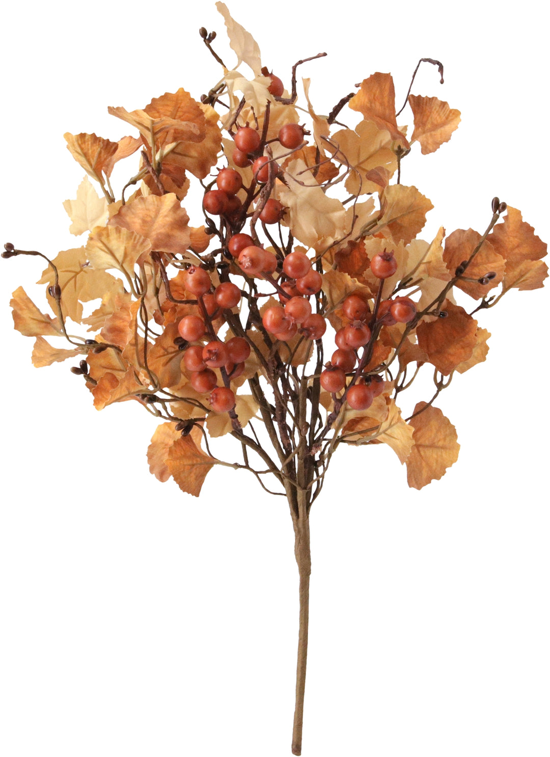 Fall Ginkgo Pick