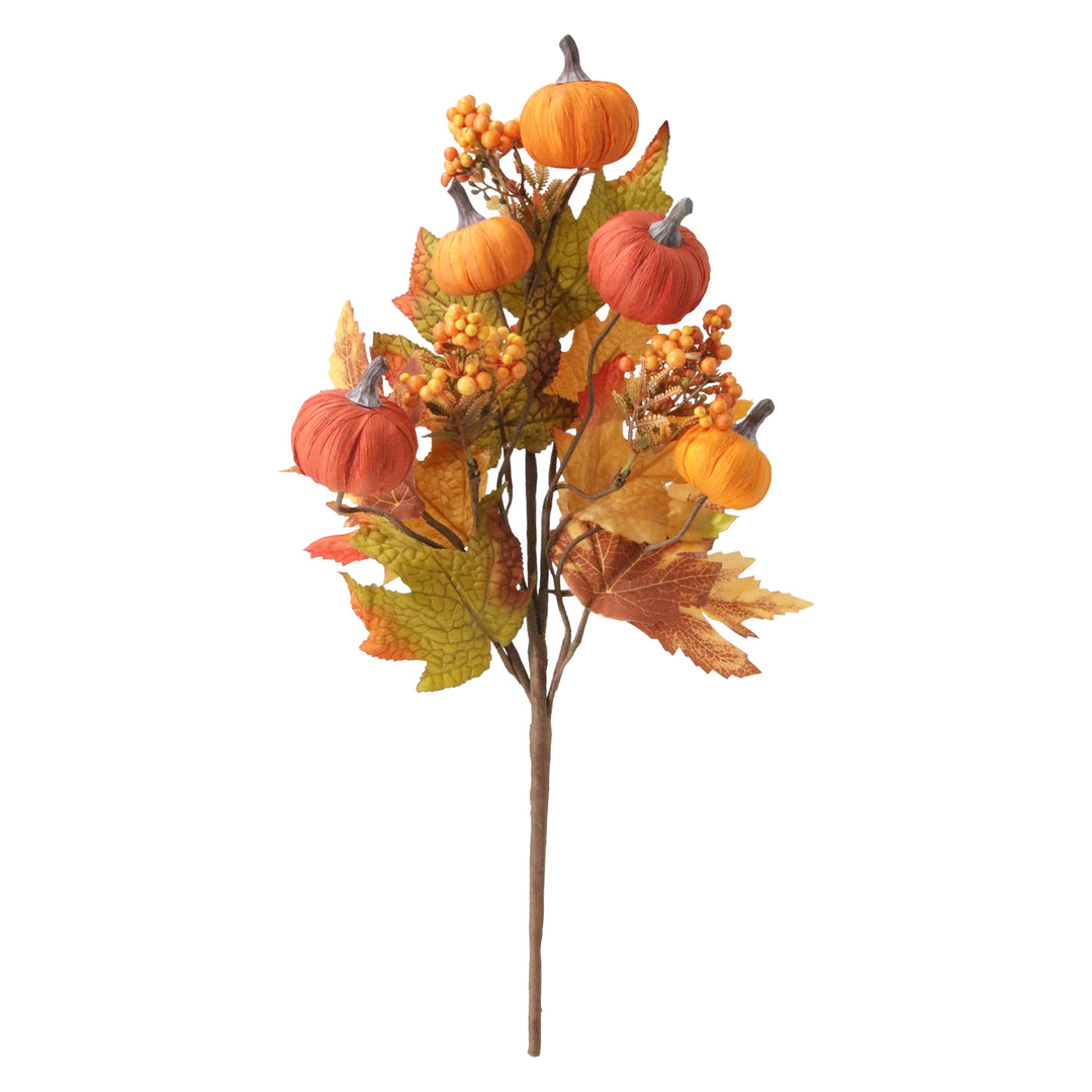 Bright Orange Pumpkin Pick