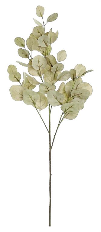 Light Brown Silver Dollar Eucalyptus Spray