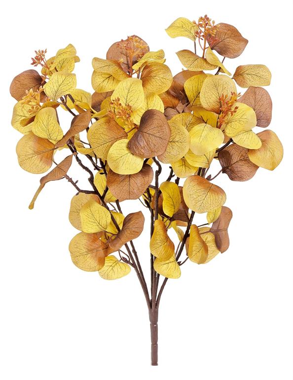 Golden Brown Eucalyptus Bush