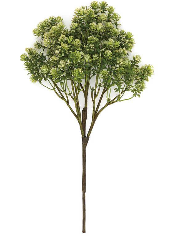 Sedum Spray - 2 Colors
