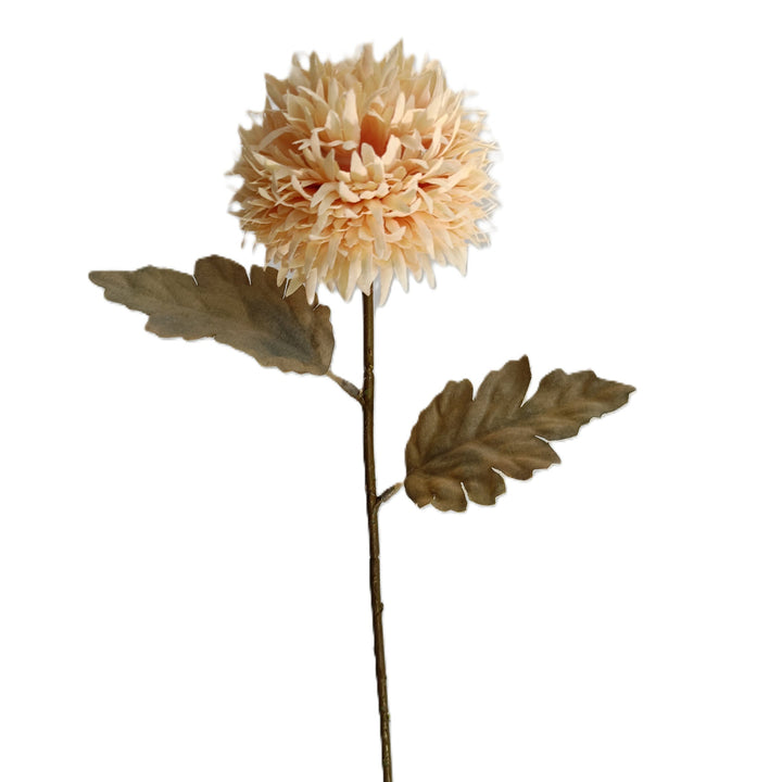 Chrysanthemum Stem - 6 Colors