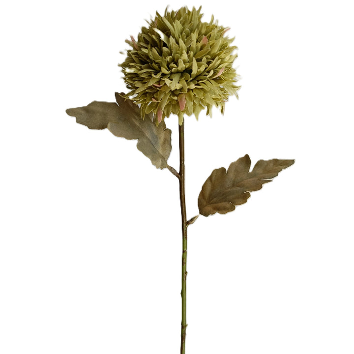 Chrysanthemum Stem - 6 Colors