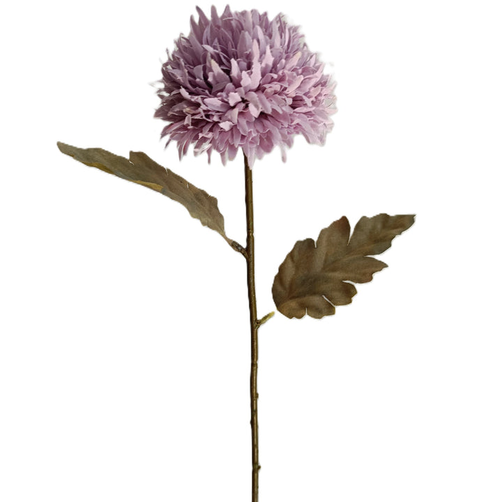 Chrysanthemum Stem - 6 Colors