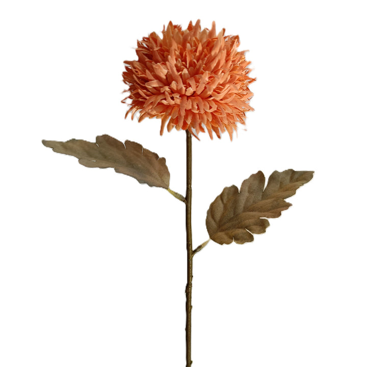 Chrysanthemum Stem - 7 Colors