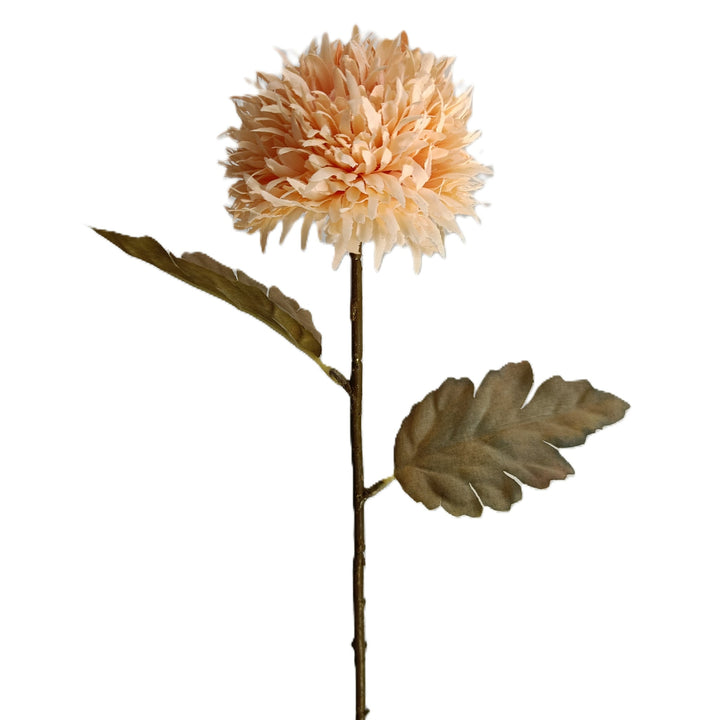Chrysanthemum Stem - 6 Colors