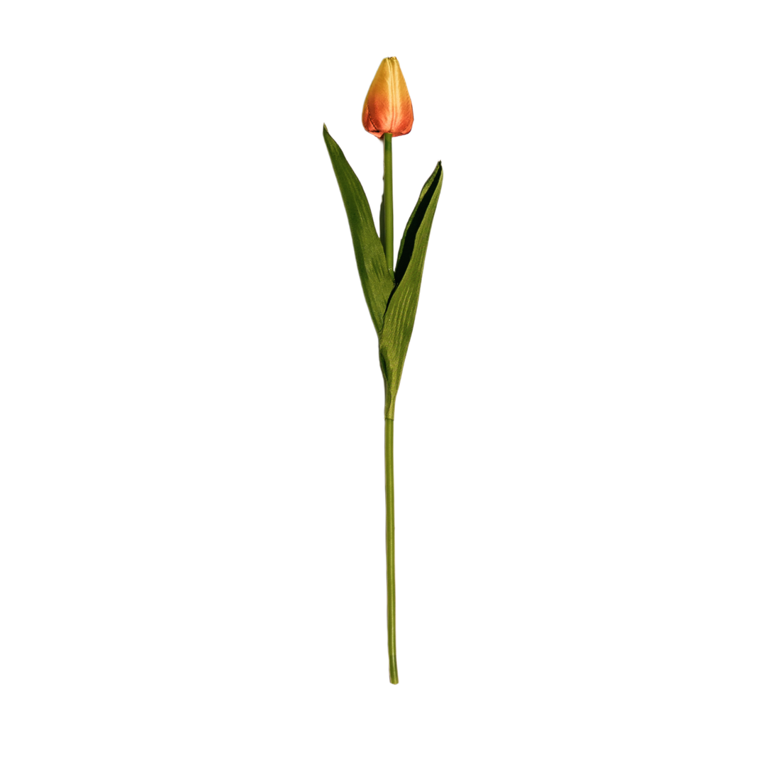 Tulip Stem - 3 Colors