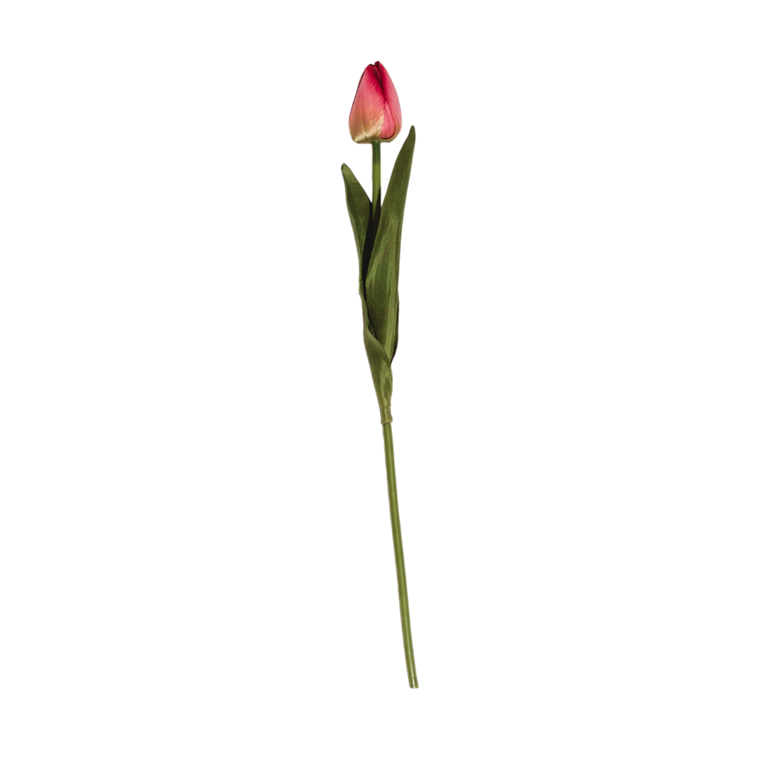 Tulip Stem - 3 Colors