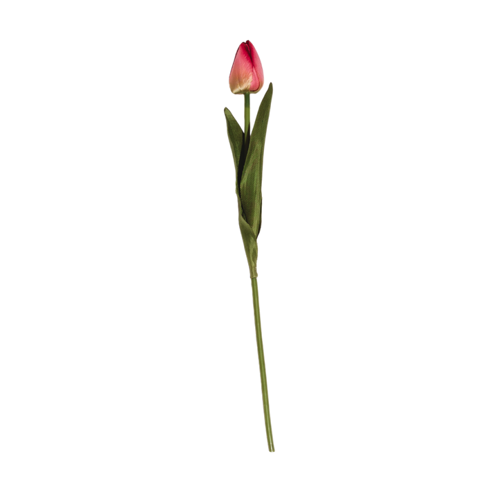 Tulip Stem - 3 Colors