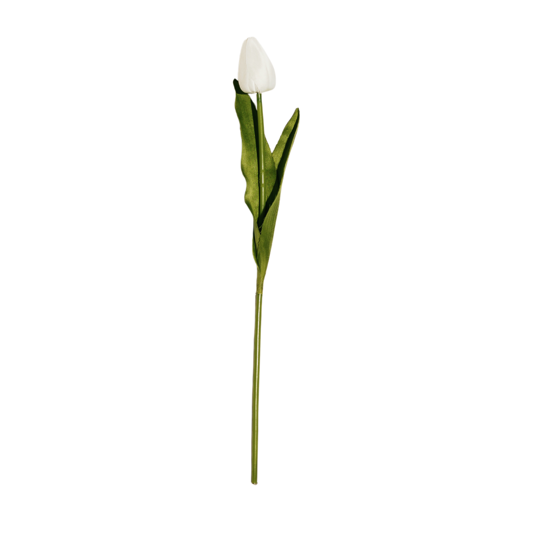 Tulip Stem - 3 Colors