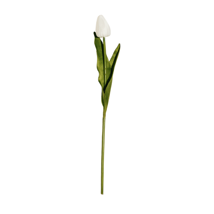 Tulip Stem - 3 Colors