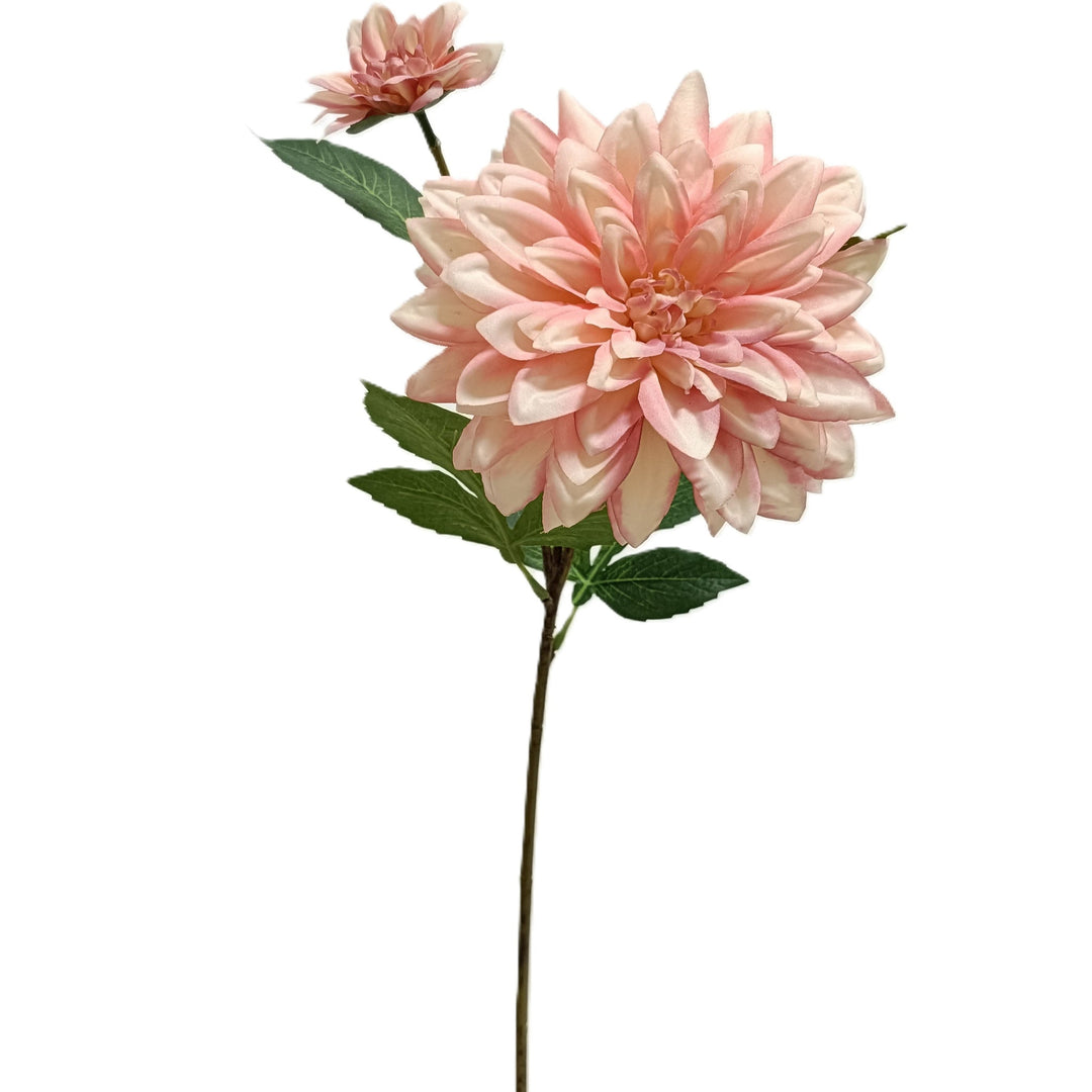 Dahlia Stem - Peach
