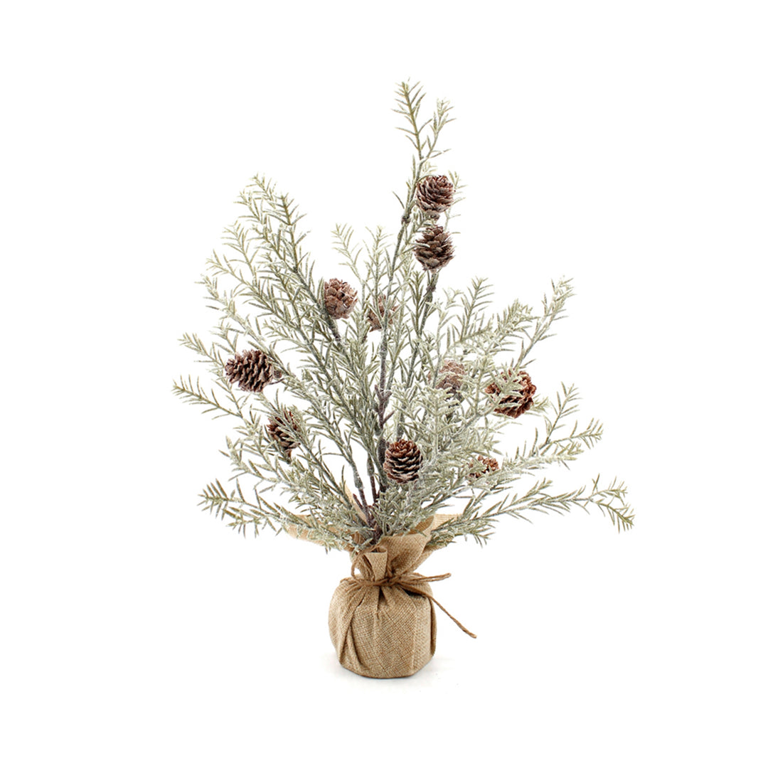 Cedar Tree with Pine Cones