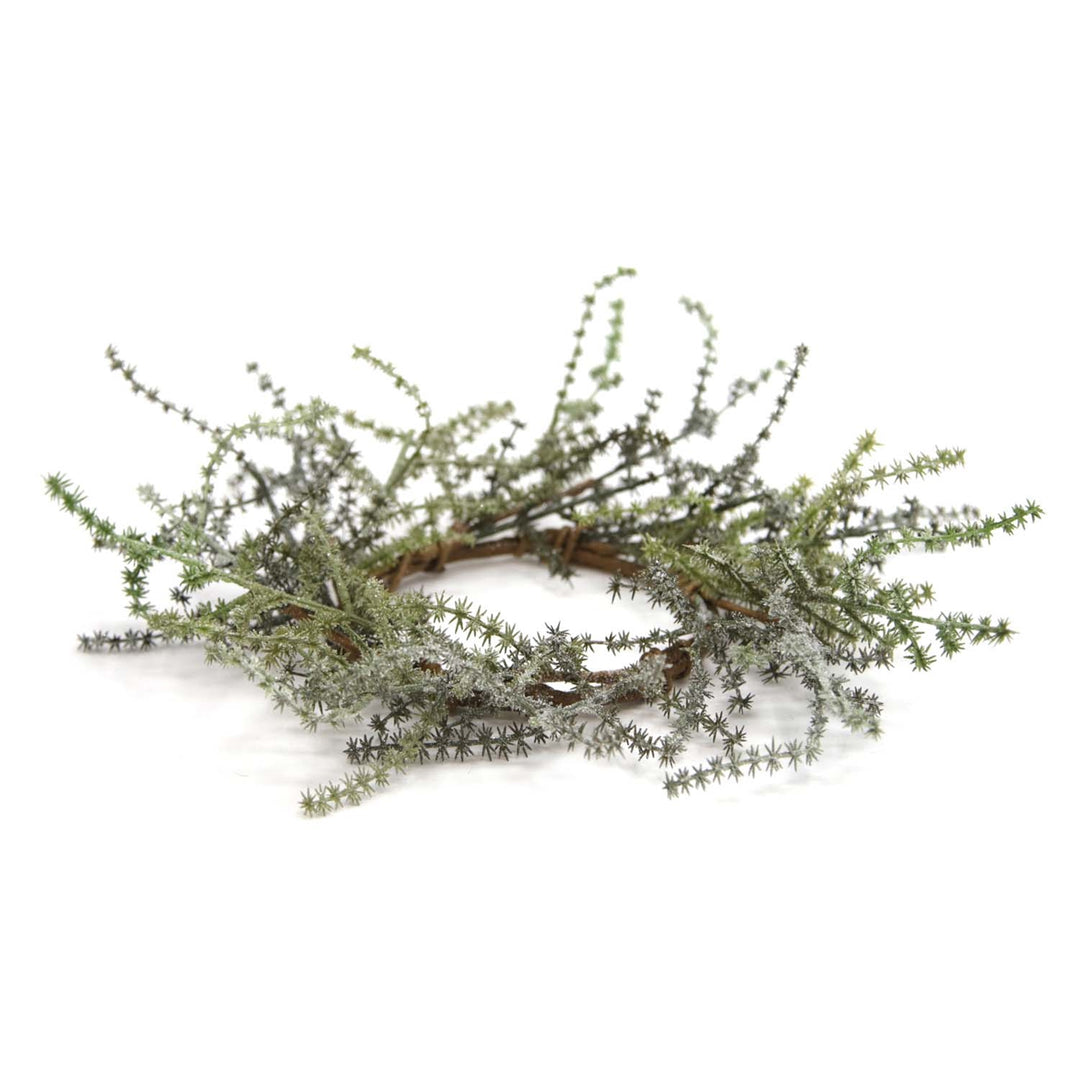 Russian Thistle Collection
