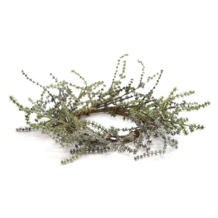 Russian Thistle Collection