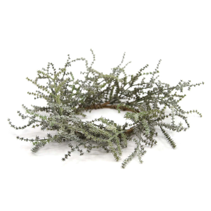 Russian Thistle Collection