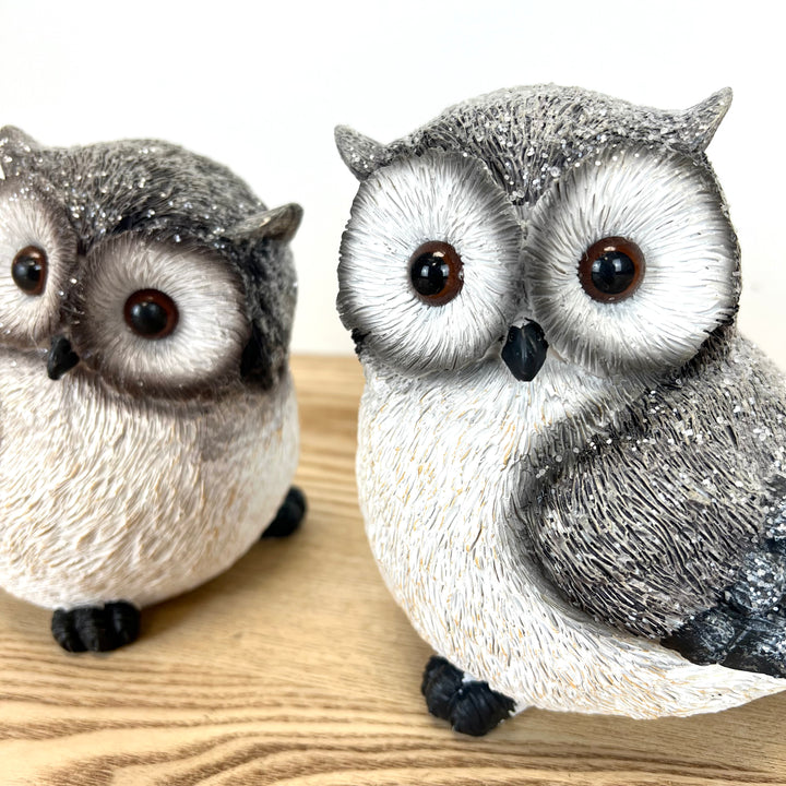 Snowy Resin Owls - Set of 2