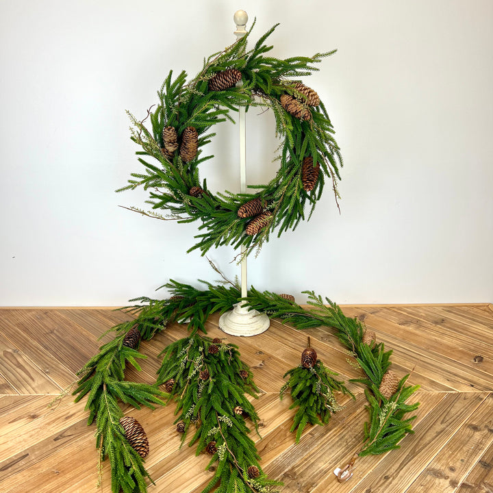 Norfolk Pine with Branch Collection