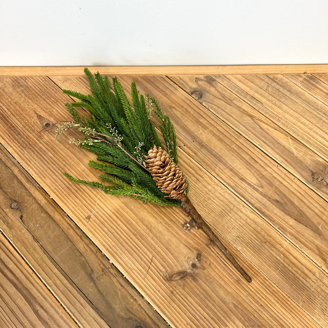 Norfolk Pine with Branch Collection