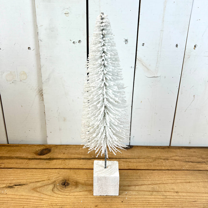 White Bottle Brush Trees