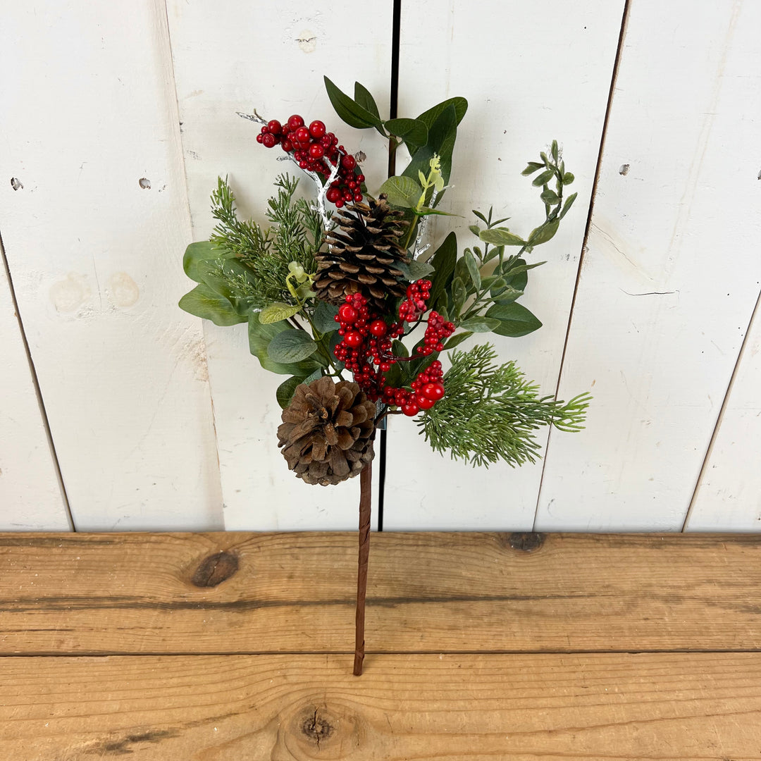 Mixed Eucalyptus and Red Berry Stem