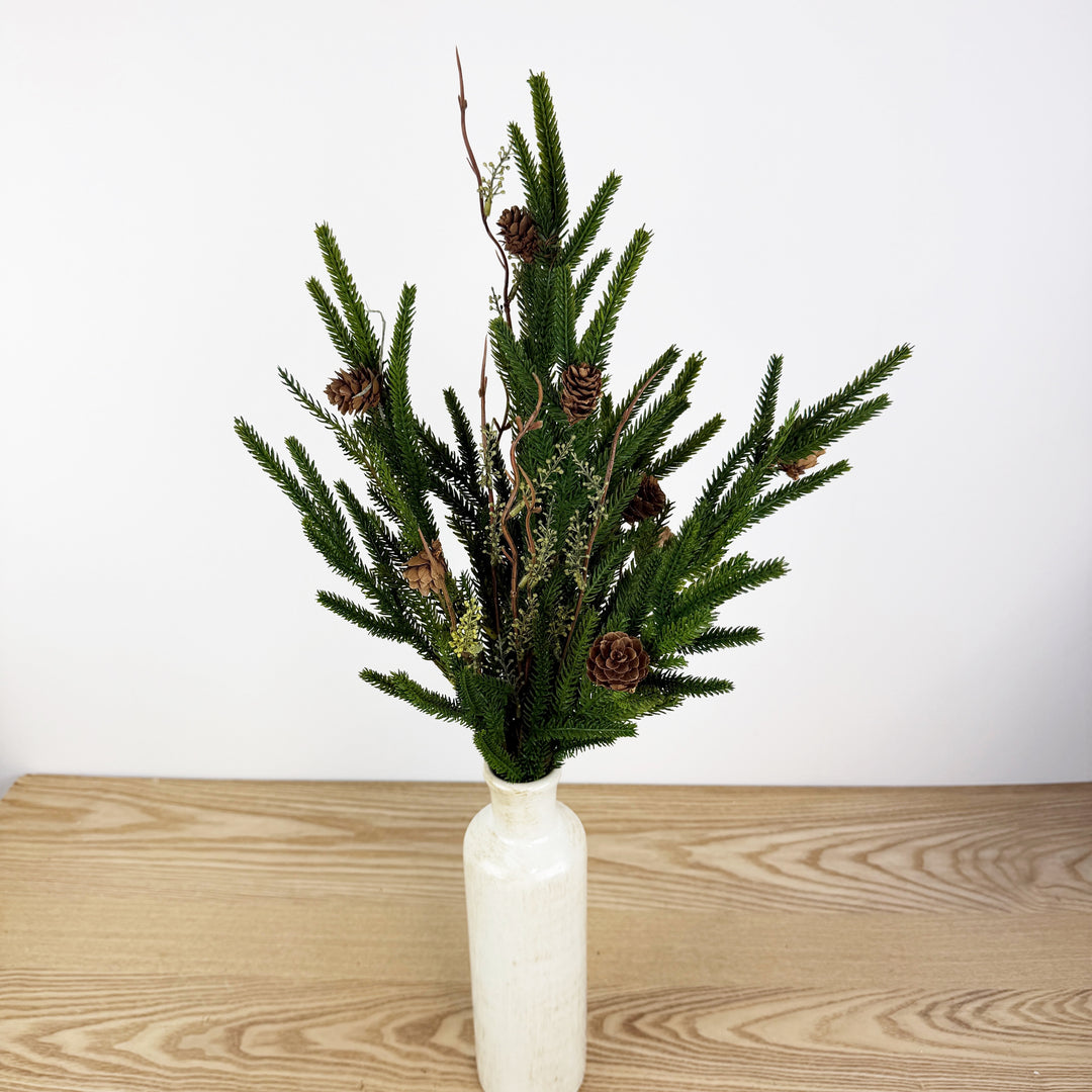 Norfolk Pine with Branch Collection