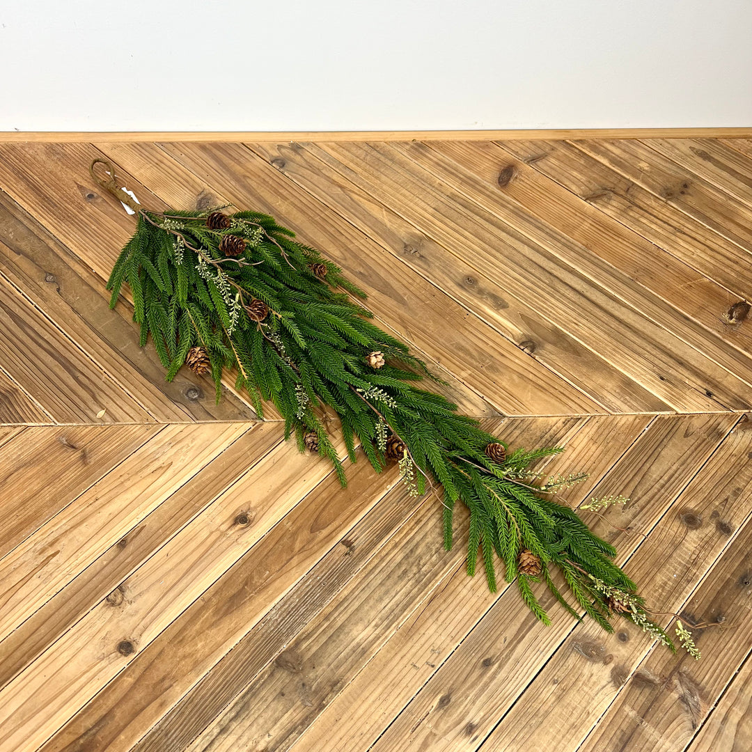 Norfolk Pine with Branch Collection