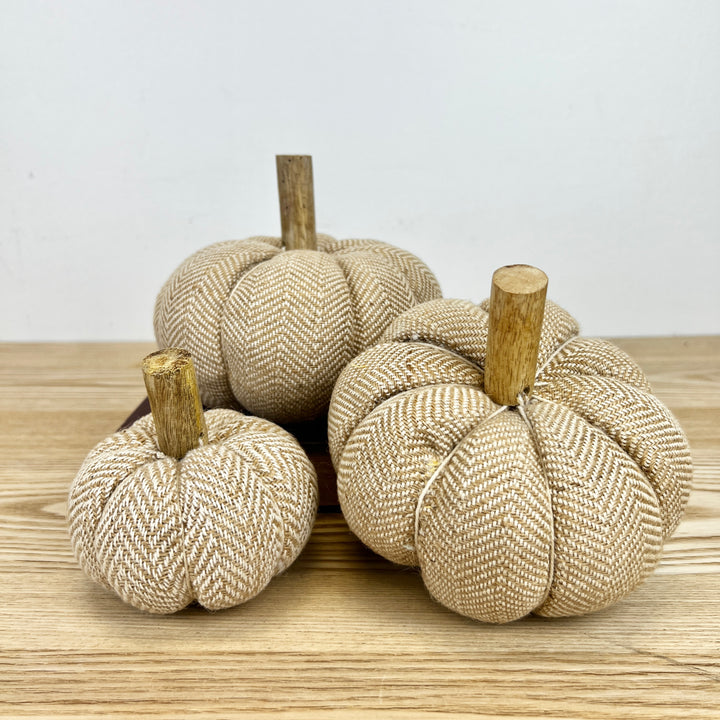 Beige Pumpkin - 3 Sizes