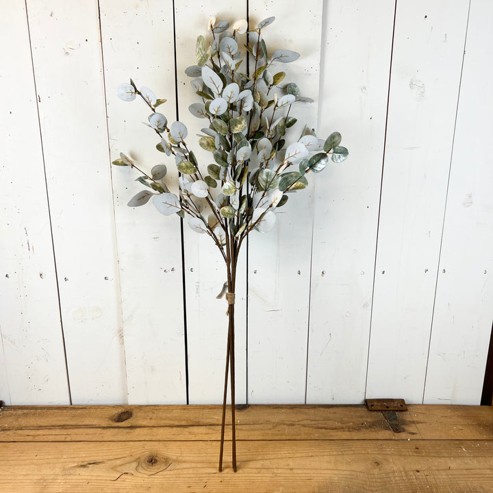 Sparkly Eucalyptus Collection